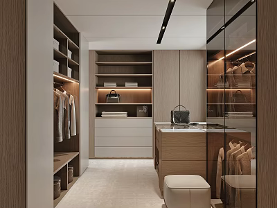 Modern Walk in Closet Interior Design With Wooden Cabinets Glass Doors And Hanging Rails 3d model