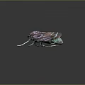 Colorful Flying Insect Moth with Purple Orange Wings and Intricate Patterns on Dark Background