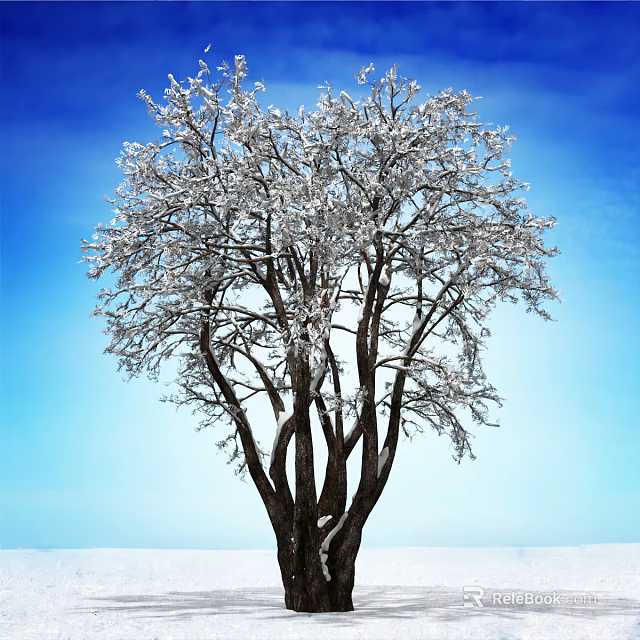 Snow Covered Tree with Thick Trunk and Frosted Branches Against Blue Sky 3d model 