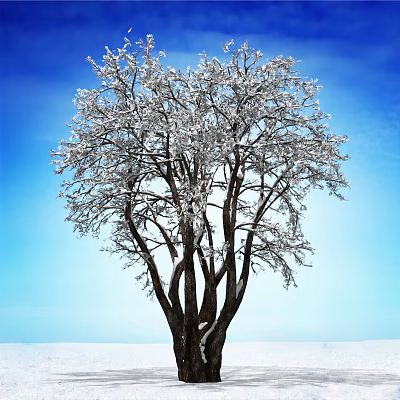 Snow Covered Tree with Thick Trunk and Frosted Branches Against Blue Sky 3d model