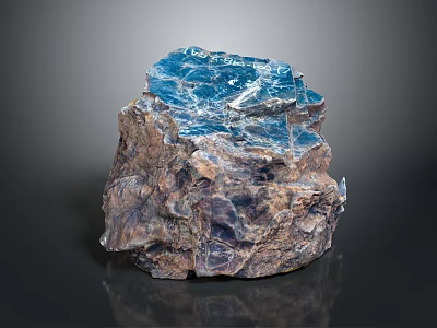 Natural Wood Stone Decorative Rock With Blue Brown Textures And Crystalline Surface 3d model