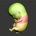 White Baby Figure In Curled Posture With Purple Abdomen On Dark Reflective Surface