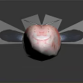 Transparent Marine Creature With Red Body Accents And Slender Tail Structure