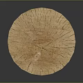 Dead Wood Dead Wood Dry Wood Dry Wood Branch Trunk Cartoon Trunk Dead Branch Tree Root Dead Tree Root Dead Tree 3d model
