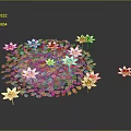 White Water Lilies With Pink Petals Floating On Pond Surface And Reflections