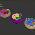Colorful Decorative Bowls with Green Plant Purple and Pink Floral Elements on Dark Background