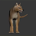 Wild Canine Animal With Brown Fur Black Stripes And Long Tail