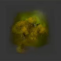 Cartoon Scene With Curved Trunk Tree Featuring Yellow Leaves Stones And Green Grass