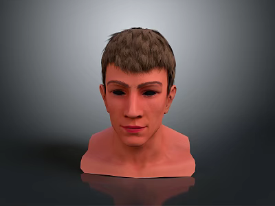 3D Human Head Model With Short Brown Hair Neutral Facial Expression Neck And Gray Background 3d model