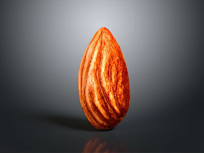 Close Up View Of Fresh Whole Almond With Natural Brown Striped Skin On Dark Background 3d model