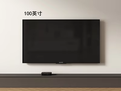 Sony 100 Inch Wall Mounted TV In Modern Living Room With TV Stand 3d model
