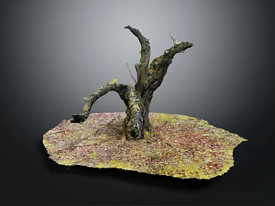 Natural Wooden Trunk Decorative Artwork With Stone Base And Mossy Ground Surface 3d model