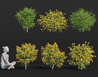 Landscape shrub berry flower tree Darwin barberry tree pool group ornaments 3d model