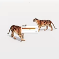 Two Realistic Tiger Models Standing On White Background With Detailed Stripes 3d model