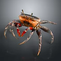 Aquatic Animal Crab With Orange Red Claws And Long Detailed Legs Appearance