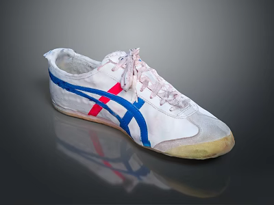 White Casual Sneakers With Blue Red Stripes Classic Sports Footwear Design 3d model