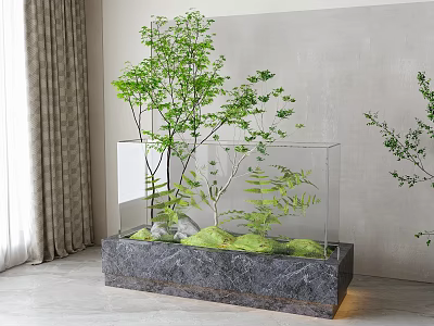 Indoor Bonsai Plant in Transparent Glass Container with Green Foliage and Gray Stone Base 3d model