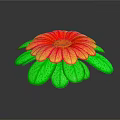 Vibrant Decorative Flowering Plant with Red and Yellow Petals and Green Leaves