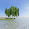 Weeping Willow Tree Standing By Waterfront Under Blue Sky With Calm Water And Green Grass