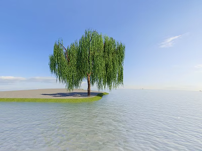 Weeping Willow Tree Standing By Waterfront Under Blue Sky With Calm Water And Green Grass 3d model