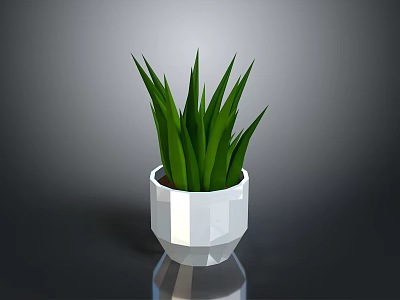 White Geometric Shaped Pot With Green Long Leaf Plant For Home Decor 3d model