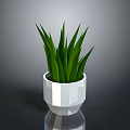White Geometric Shaped Pot With Green Long Leaf Plant For Home Decor