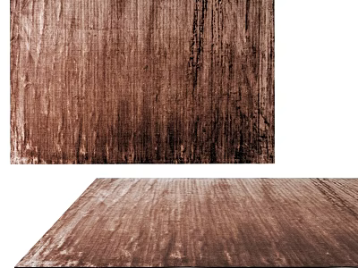 Brown Square Velvet Rug With Natural Wooden Texture For Modern Home Decor 3d model