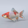 Red And White Goldfish Featuring Large Eyes And Fan Shaped Fins On Light Gray Background