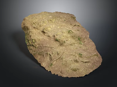 Natural Wood Stone With Organic Surface Texture And Rustic Decorative Details 3d model