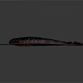 Realistic Black and Red Shrimp With Detailed Texture in 3D Digital Rendering 3d model
