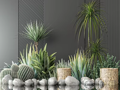 Potted Plants With Cactus Succulents Tall Green Plants Stones Cylindrical Pots And Striped Wall Decor 3d model