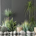 Potted Plants With Cactus Succulents Tall Green Plants Stones Cylindrical Pots And Striped Wall Decor