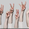 Human Hands And Arms Displaying Different Gestures Including Peace Signs And Pointing 3d model