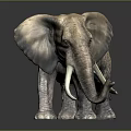 Detailed Elephant With Large Ears And Ivory Tusks Standing On Dark Background 3d model