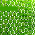 Green Moss Covered Wall with Hexagonal Grid Pattern for Modern Interior Decor 3d model