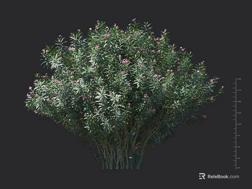 Lush Green Shrub With Pink Flowers And Dense Foliage For Garden Landscaping 3d model 