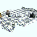 Garden Landscape With Picnic Setup Including Checkered Blanket Basket Fruits Book Camera And Phone