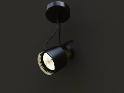 Modern Black Adjustable Downlight Spotlight Ceiling Mounted Sleek Design Fixture 3d model
