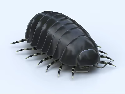 Green Flower And Grass With Black Pill Bug Crawling On Leaves 3d model