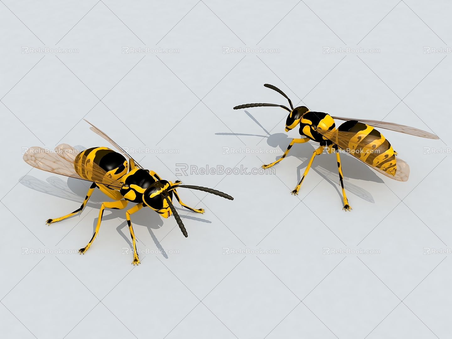 Bee Bumblebee 3d model