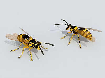 Flying Insects Yellow and Black Wasps with Two Bodies and Visible Wings 3d model