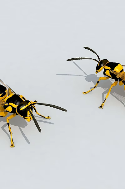 Flying Insects Yellow and Black Wasps with Two Bodies and Visible Wings 3d model Flying Insects Yellow and Black Wasps with Two Bodies and Visible Wings 3d model