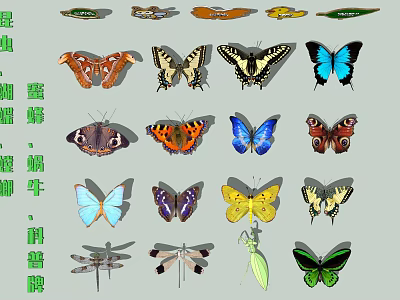 Colorful Flying Animals Featuring Butterflies Dragonflies Mantises And Various Species In Educational 3d model
