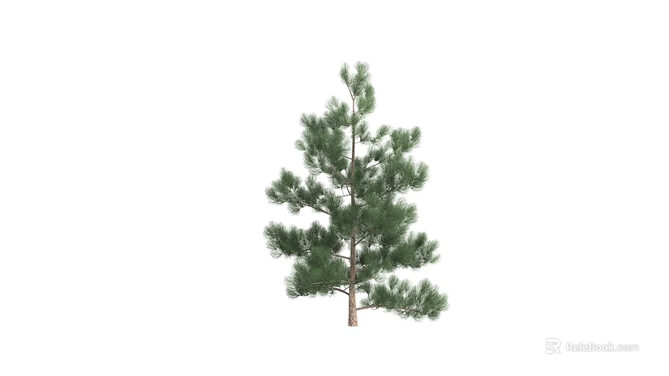 Vibrant Evergreen Pine Tree Plant Combination With Lush Foliage For Outdoor Garden Spaces 3d model 