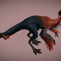 Vibrant Feathered Reptile Dinosaur Featuring Black Red Orange Plumage In Walking Pose