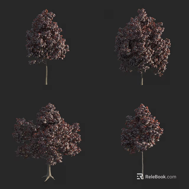 Arbor with Slender Trunks and Deep Purple Red Leaves in Different Angles 3d model