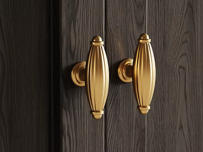 Golden Door Handles on Dark Wooden Door with Elegant Decorative Design for Home Interior 3d model