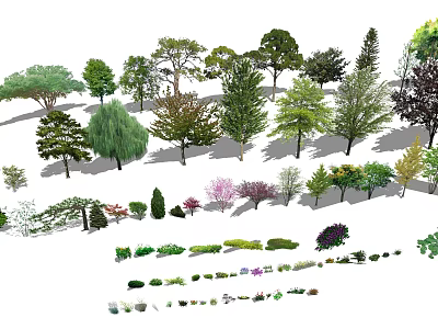 Diverse Plant Combinations With Trees Shrubs Herbs And Assorted Foliage For Landscape Design 3d model