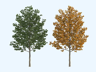 Two Trees with Green and Orange Foliage Standing Side by Side 3d model