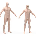 Two Male Bald Head Mannequins in Underwear Standing Pose on White Background